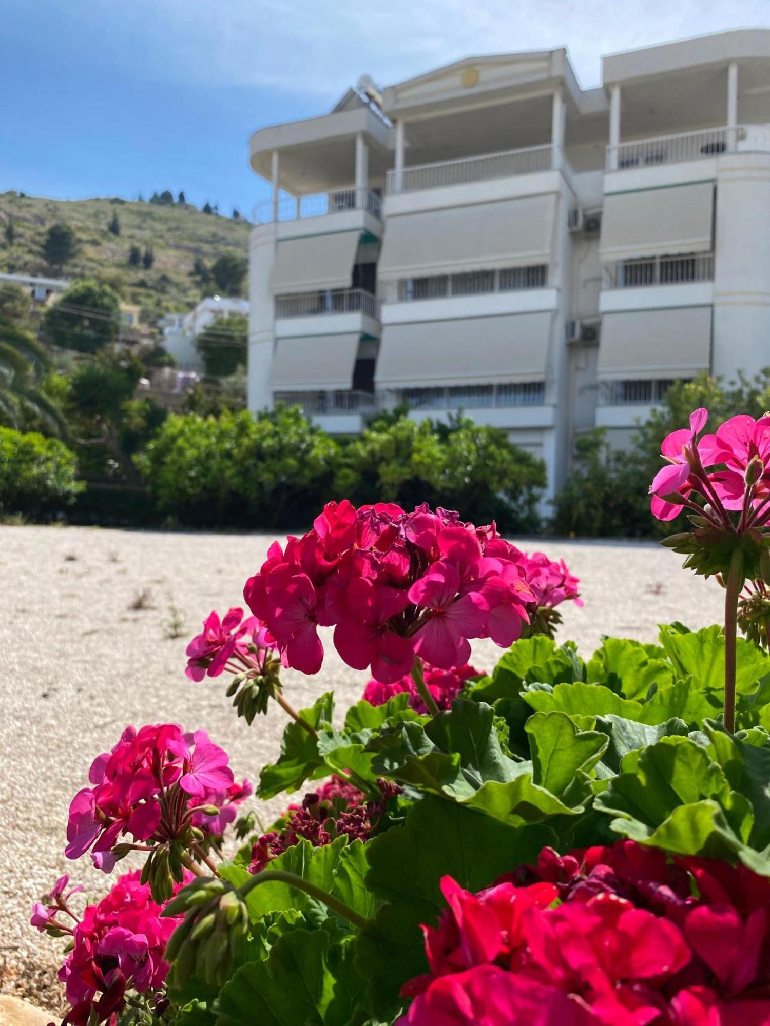Vila Marjana Saranda Extérieur photo